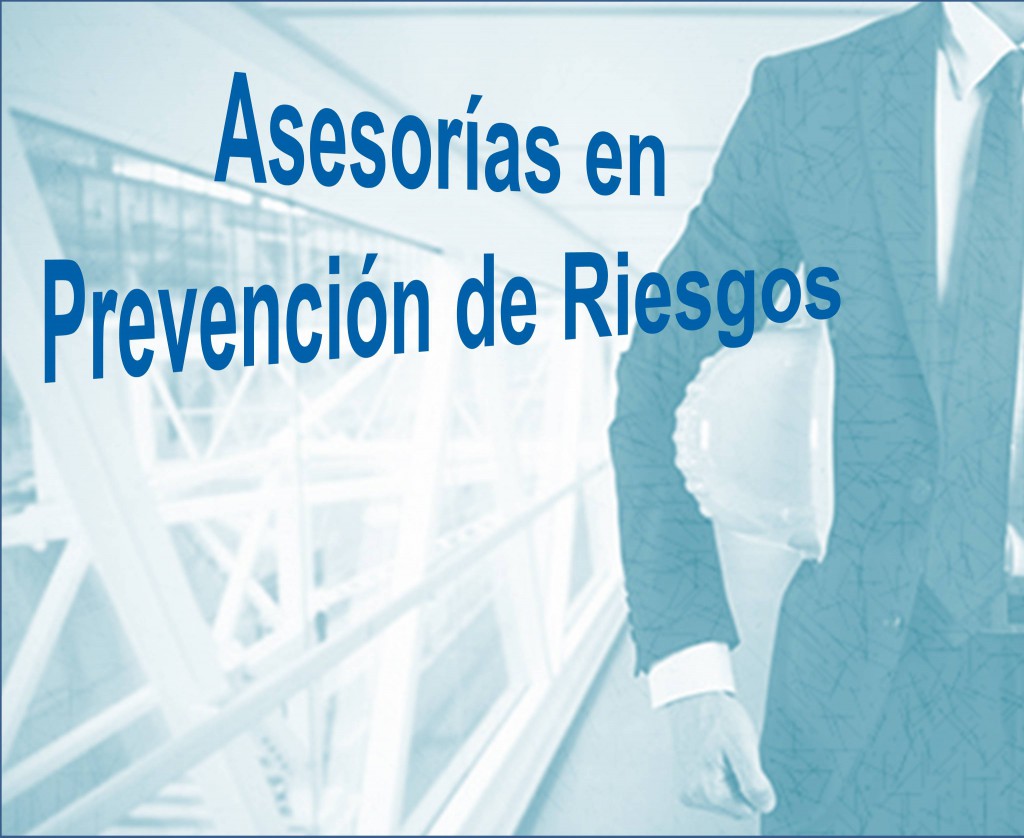 Tenemos Asesor en prevención de Riesgos permanente, quien cuenta con una amplia experiencia en el rubro, dentro de sus actividades contantemente da lineamientos y realiza controles de seguridad.